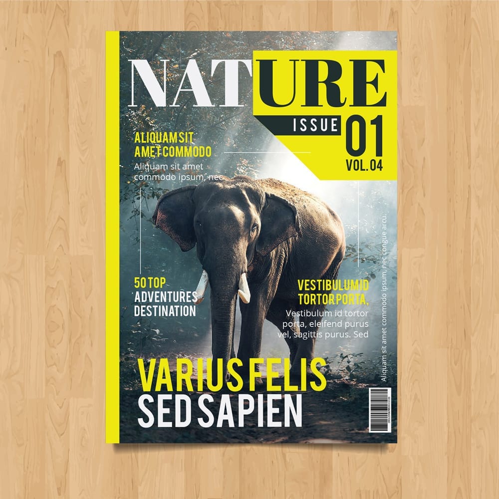 Magazine-Design-05